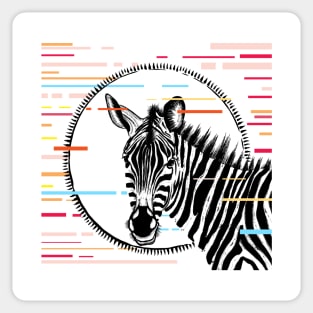 Zebra Black and White Sticker